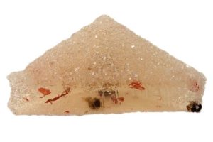 Rosépeppar/rabarber